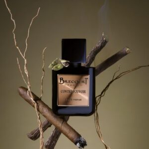 Contre Pouvoir Brecourt - Influence Coffret