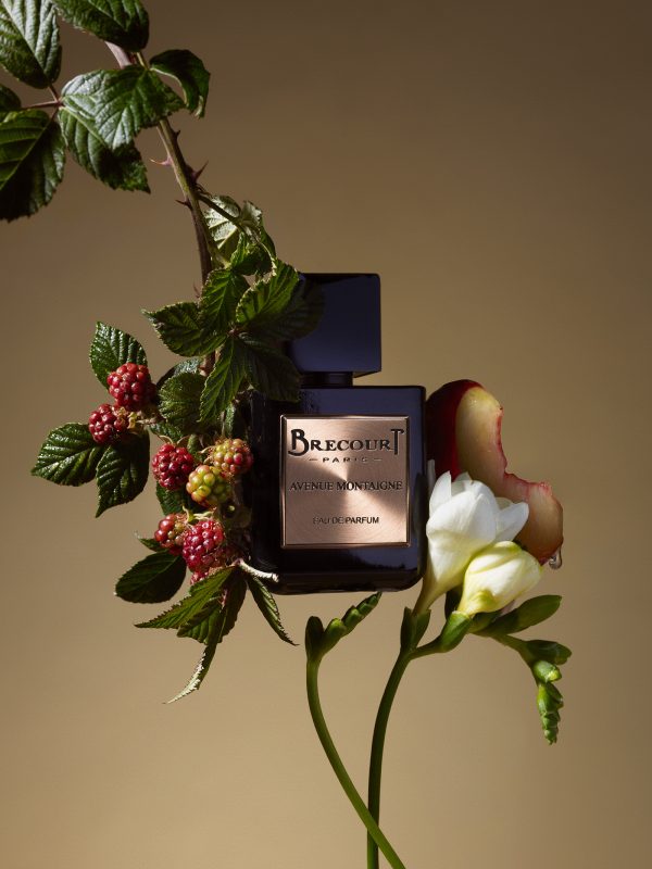 Avenue Montaigne Brecourt -Influence Coffret