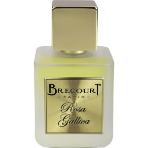 Rosa Gallica - Brecourt