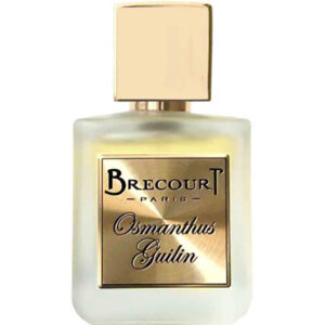 Osmanthus Guillin - Brecourt