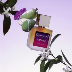 Captive Brecourt - Seduction Coffret